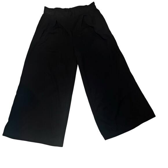Eileen Fisher wide leg pleated  cropped pullon Black women's pants size small - Picture 1 of 7